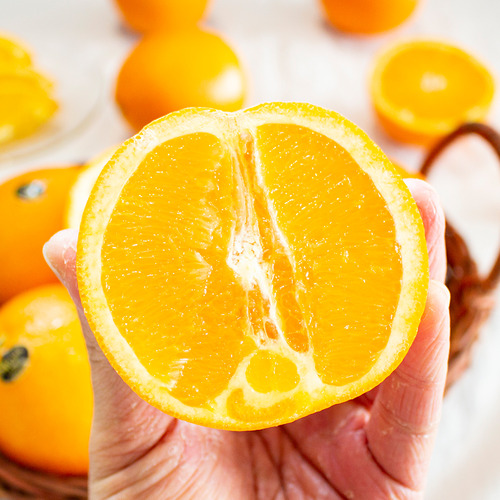 [진미락]고당도 오렌지 10과 (2kg내외)